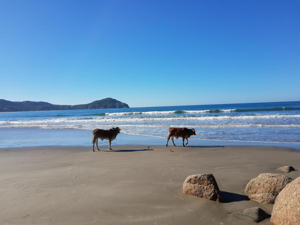 Pousada Gopak Praia do Rosa Luaran gambar