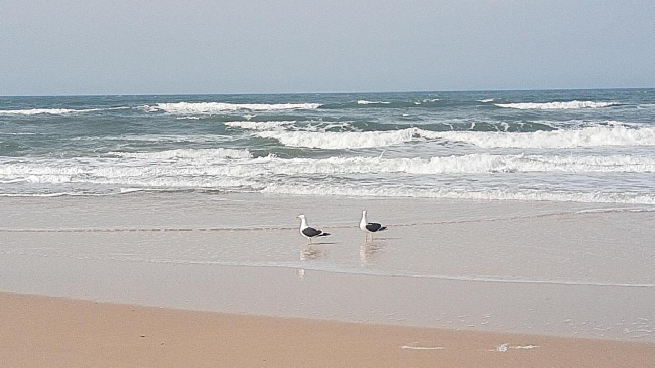Pousada Gopak Praia do Rosa Luaran gambar